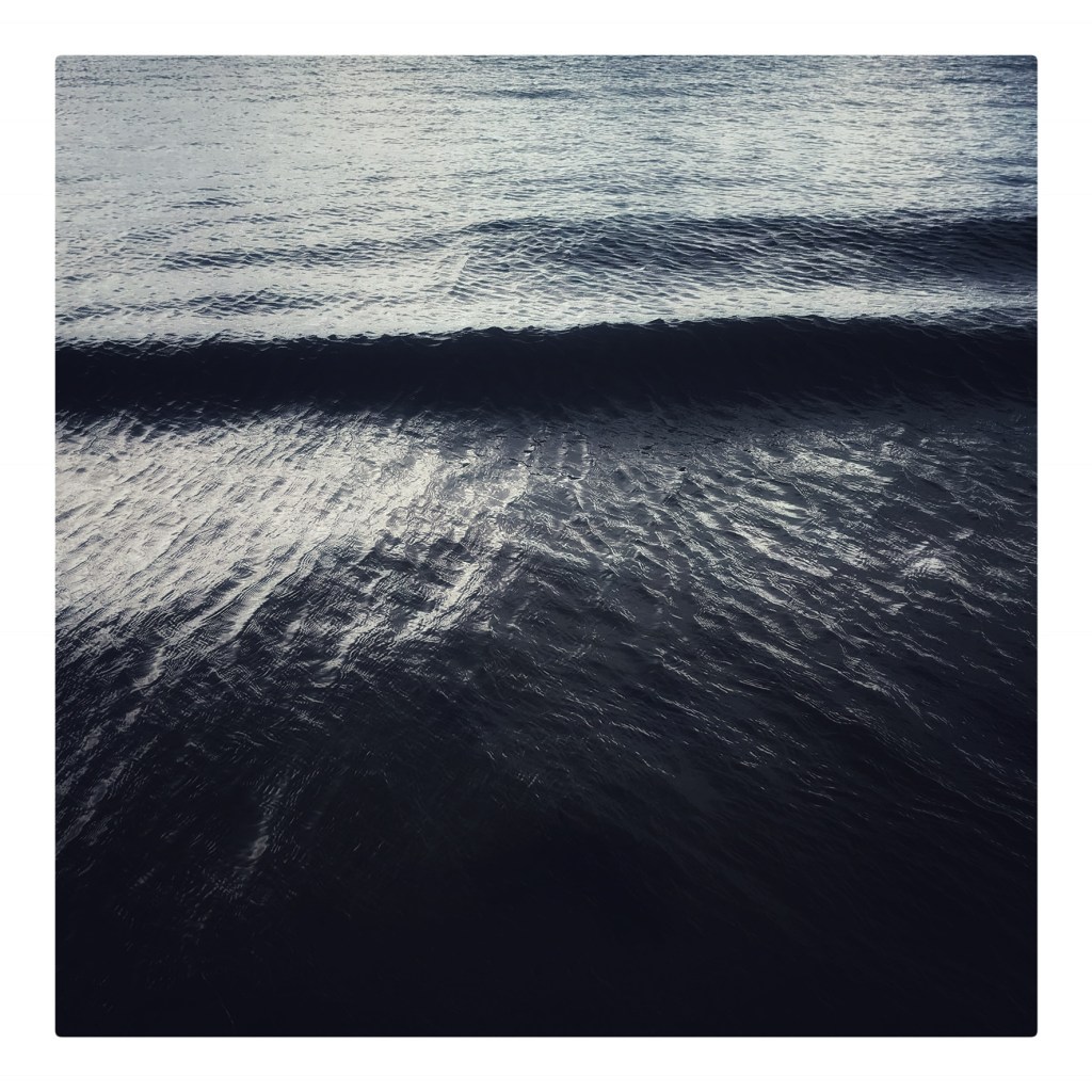 Surface – Living Wild Studios
