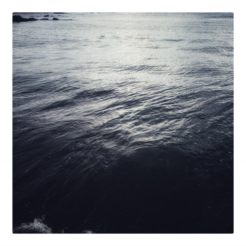 Surface – Living Wild Studios