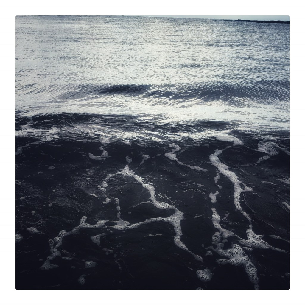 Surface – Living Wild Studios