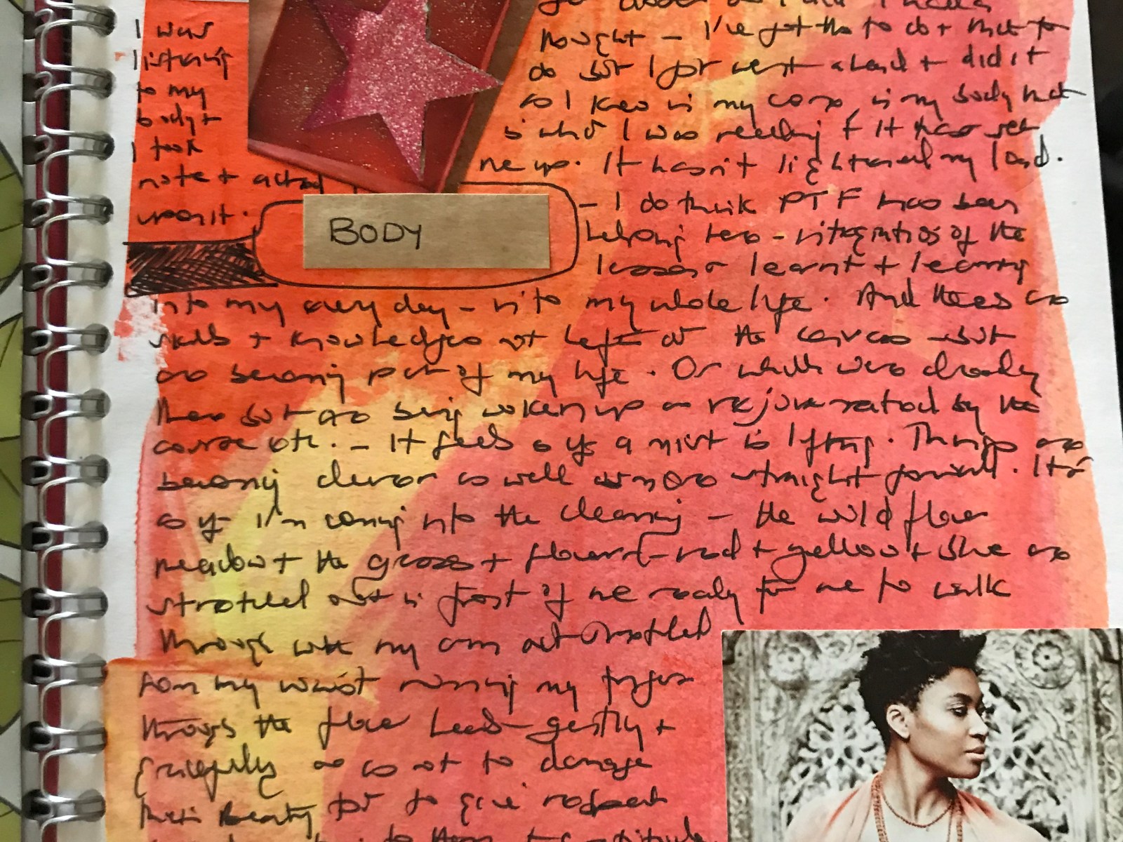 Surface – Living Wild Studios