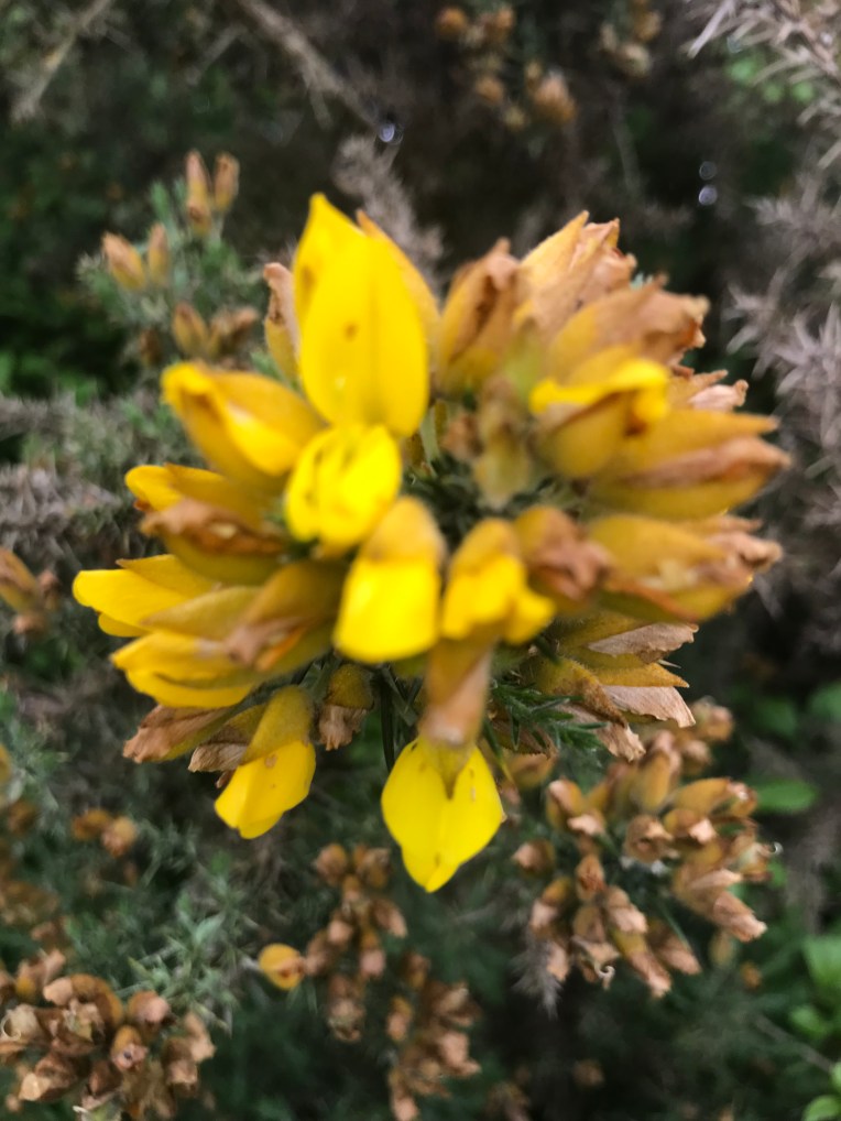 733512AE-748C-412E-93B8-AB878CFC563D