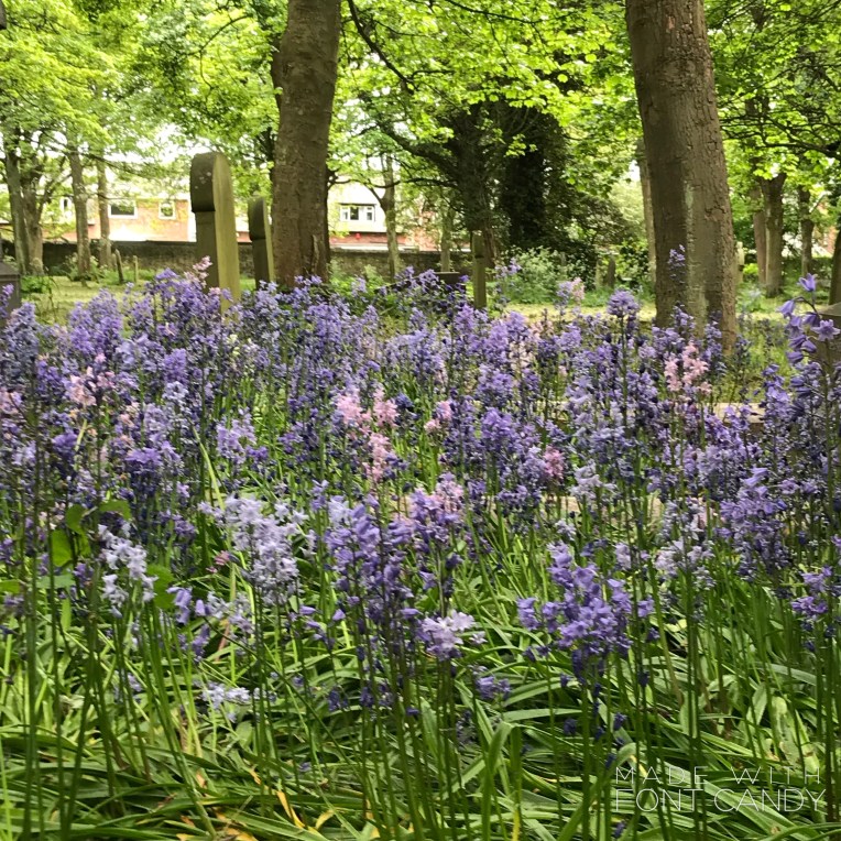 862C547A-5132-46CA-9636-58437206BEE7