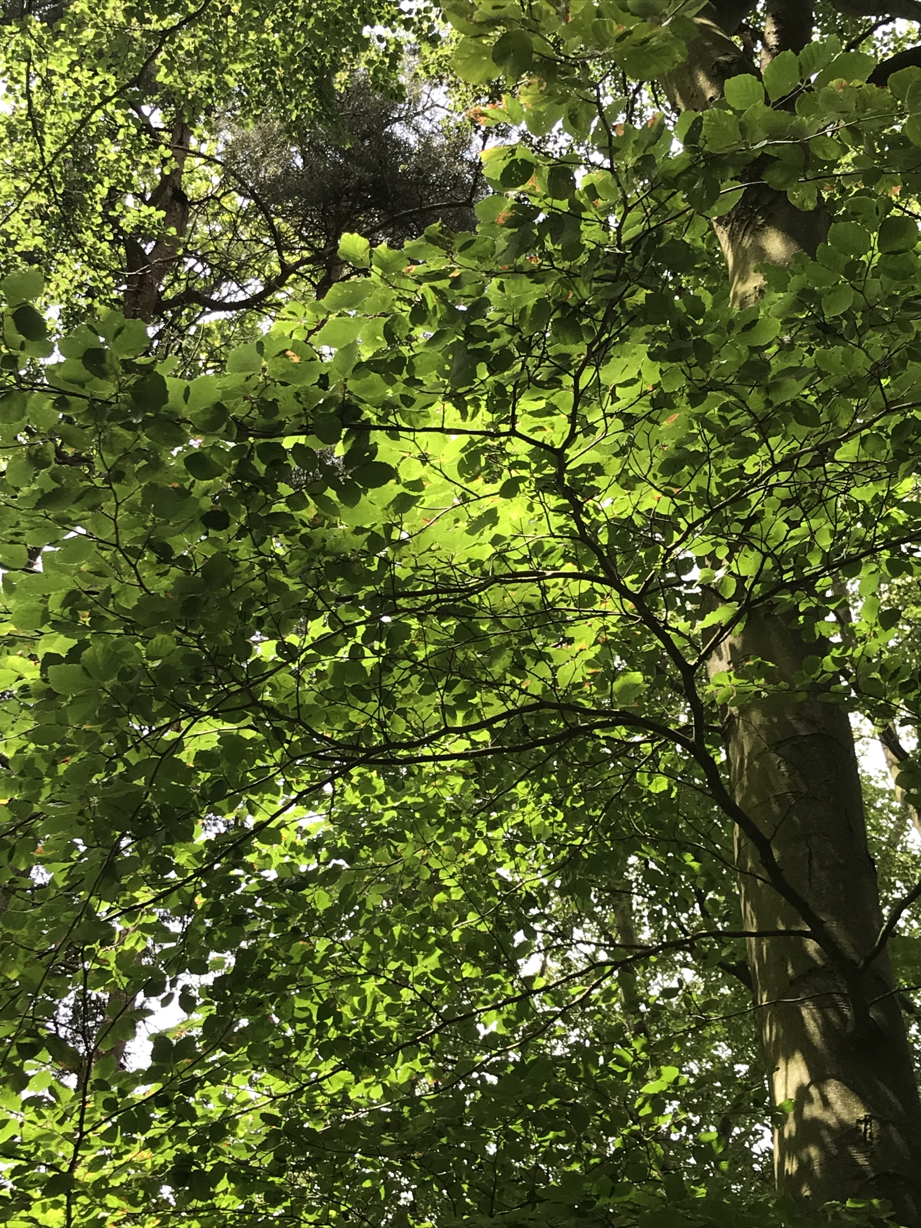 4BD99D49-2FEF-4B18-80A7-A51512F7BBD4