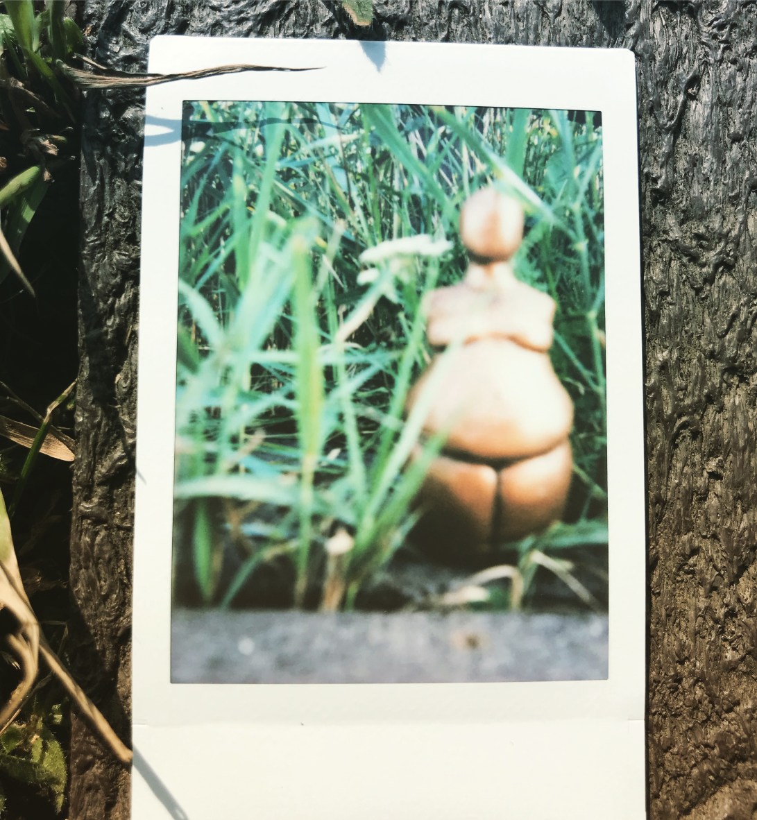 10/100 - Rainton Meadows Nature Reserve, County Durham “