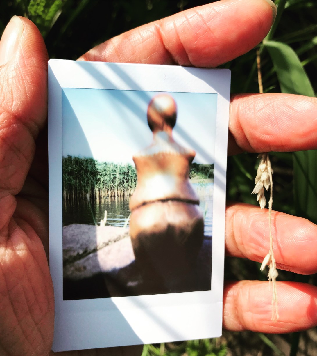 11/100 - Rainton Meadows Nature Reserve, County Durham