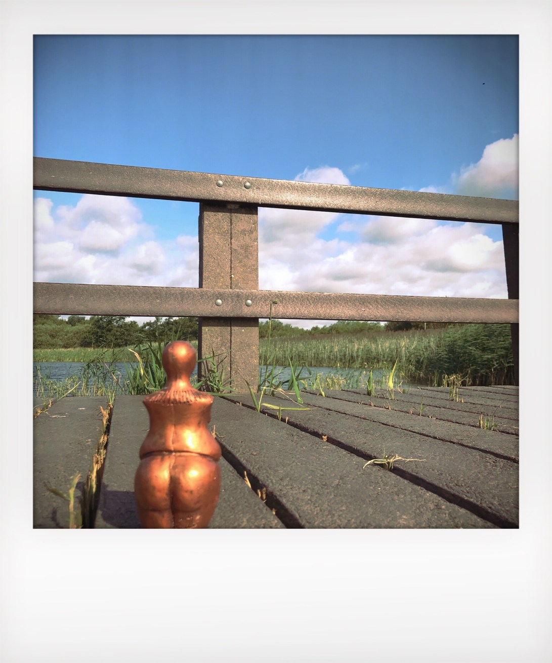 12/100- Rainton Meadows Nature Reserve, County Durham