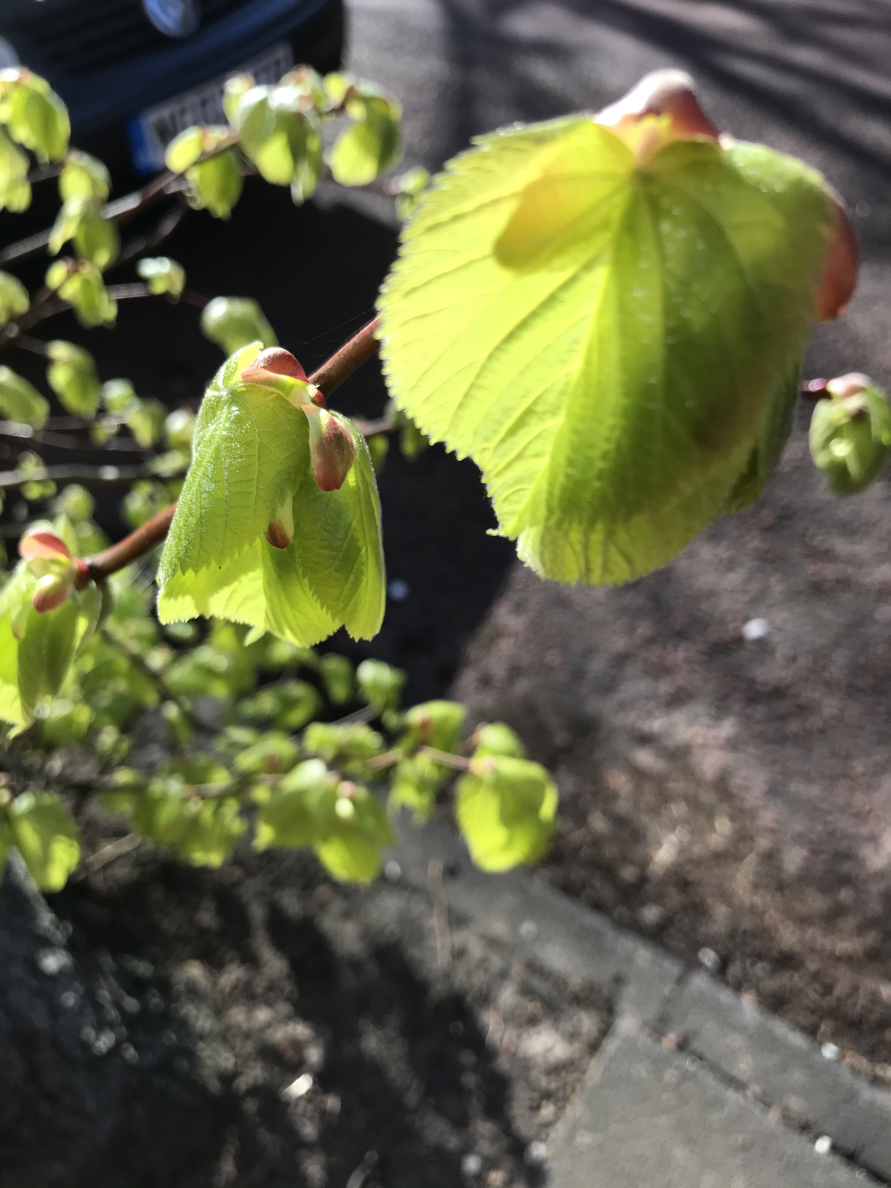 6EB203BF-341B-439A-B911-99C6DFB81080