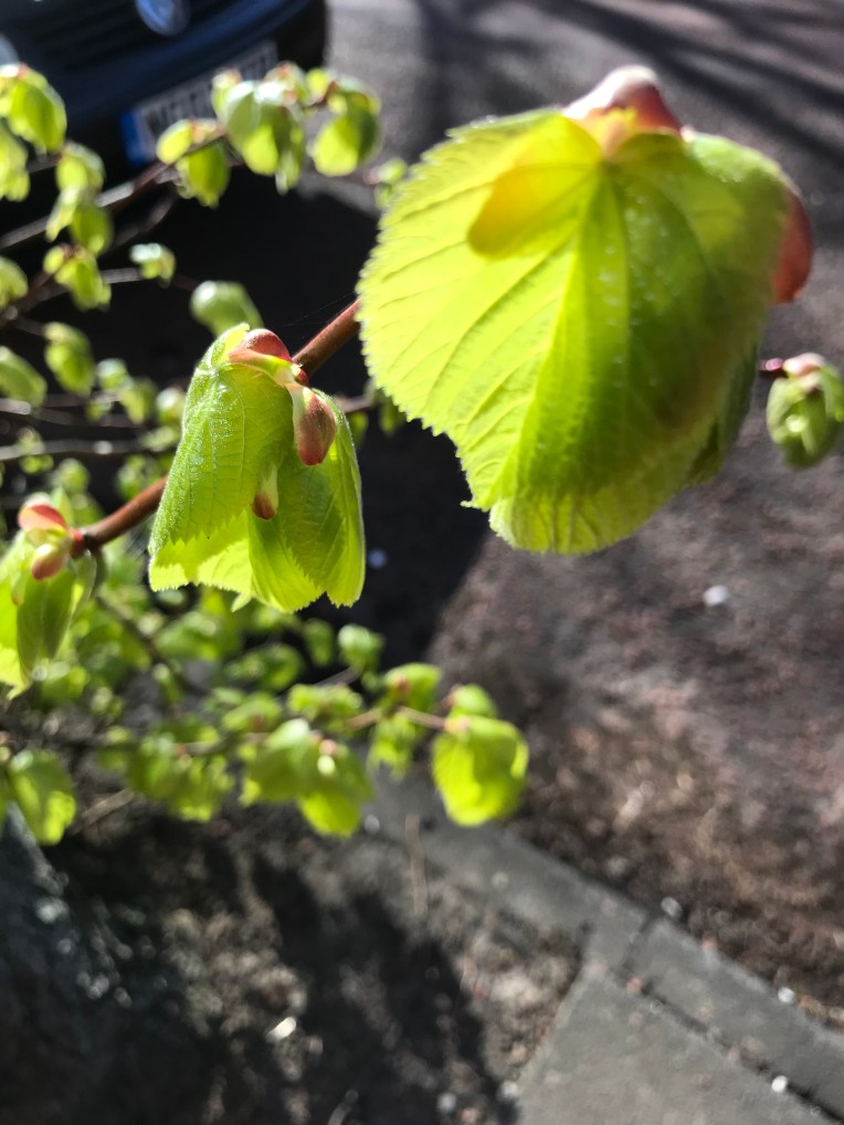 6EB203BF-341B-439A-B911-99C6DFB81080