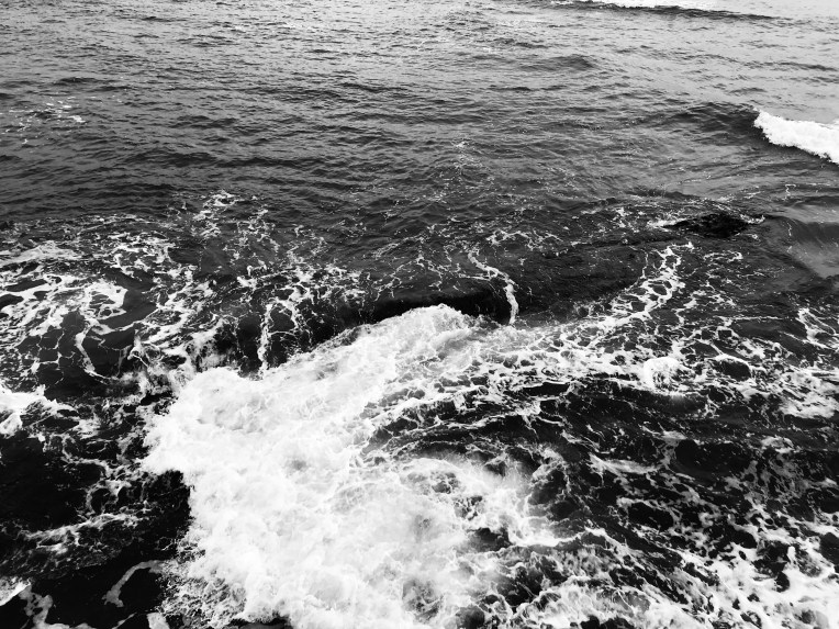 C0FBB506-AF08-453D-A660-44178CFB9B63_1_201_a