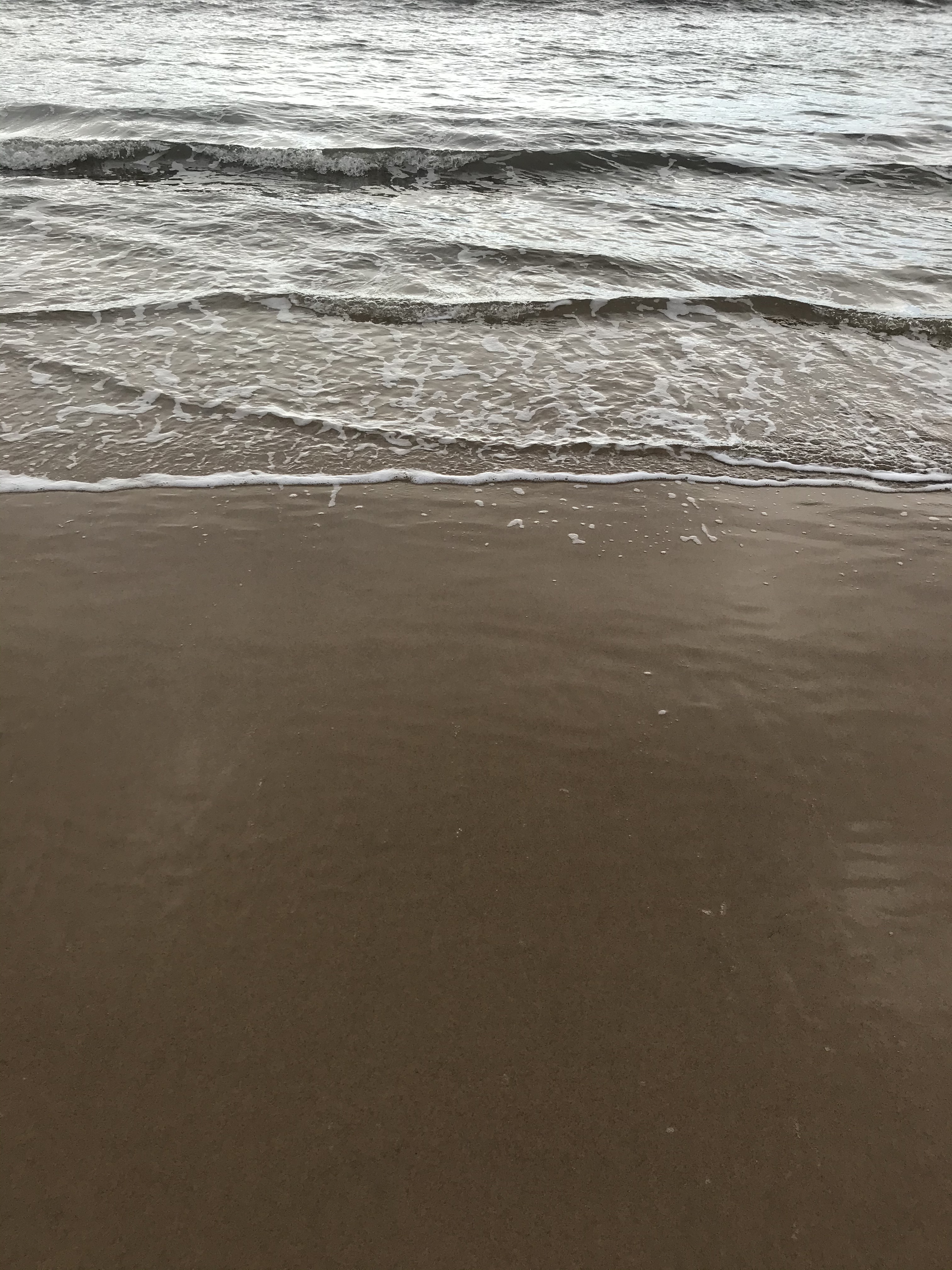 C9968E38-D39E-4A91-8C60-338AFD3F19AF