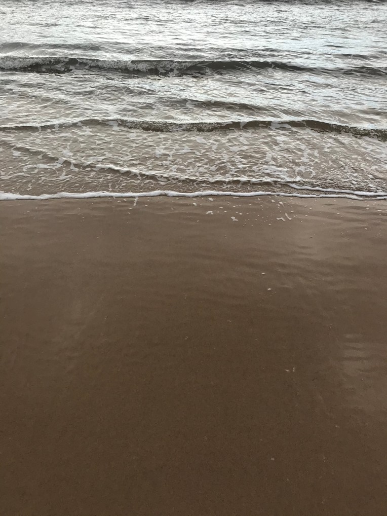 C9968E38-D39E-4A91-8C60-338AFD3F19AF