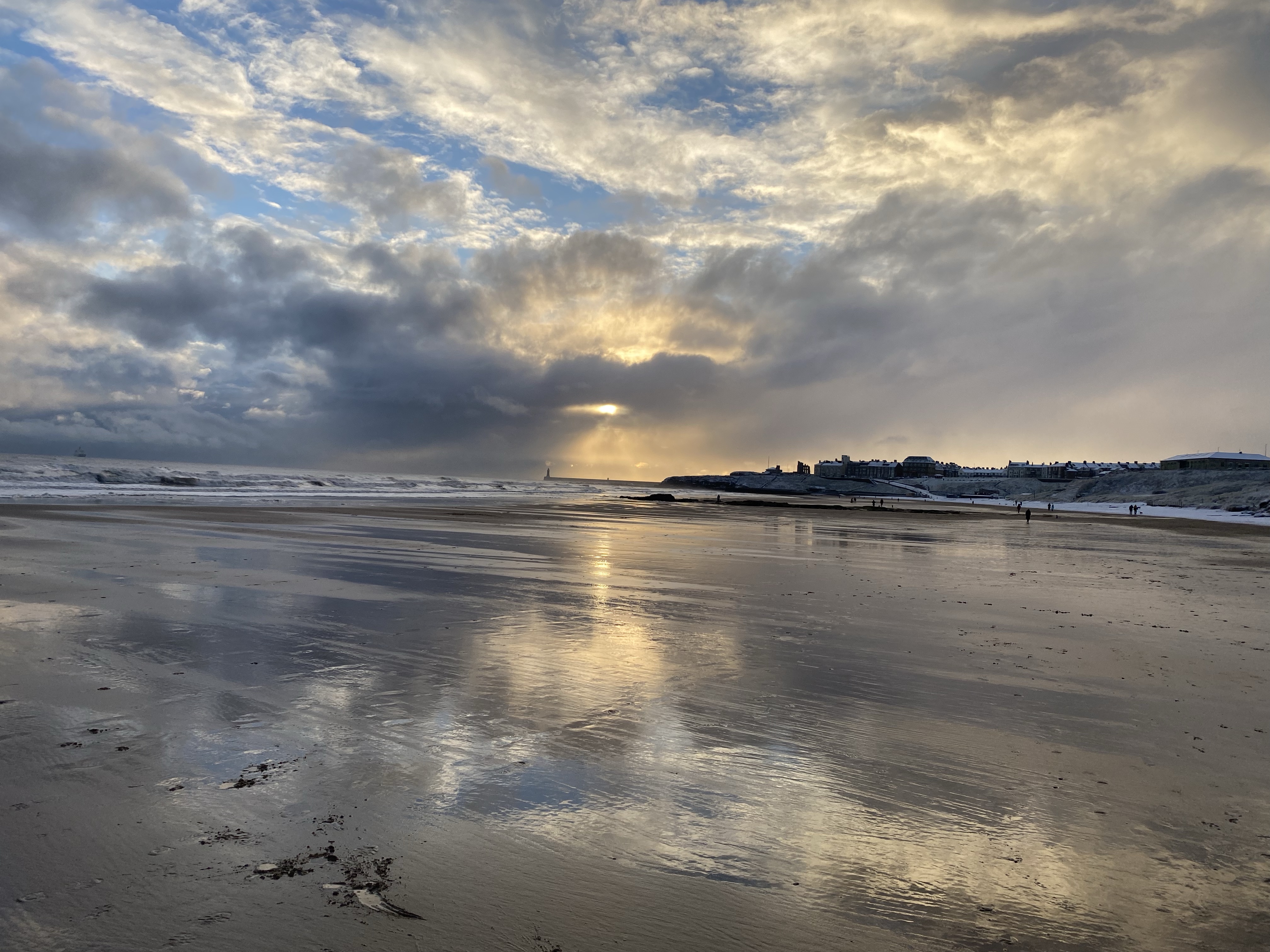 The North Sea – Living Wild Studios
